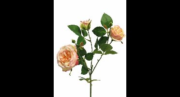 Italian rose spray x3 peach 61cm