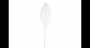 Zijde "Leaf spray" wit 113cm