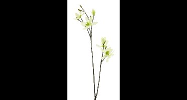 Magnolia spray cassablanca creme 102cm