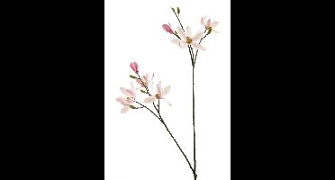 Magnolia spray cassablanca roze 102cm