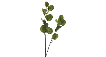 Eucalyptus leaf spray dk green 80cm