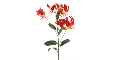 Gloriosa lilyspray red 90cm