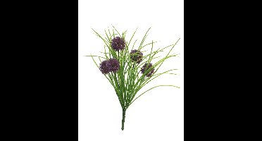 Allium Bush w / gras lt paars 39cm