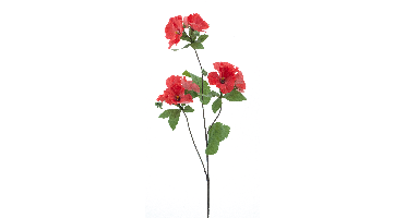 Alcea spray red 87cm