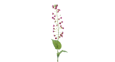 Mini flower spraybeauty 70cm