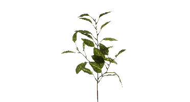 Eucalyptus leafspray green 68cm