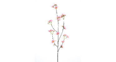 Daisy spray Moriepink 83cm