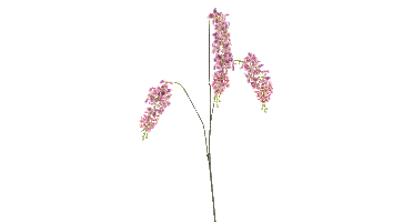 Larkspur spray aubergine 110cm