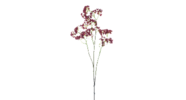 Snowball spray red117cm