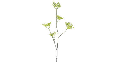 Five clawed dragonspray green 93cm