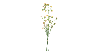 Mini daisy bundle orange 55cm