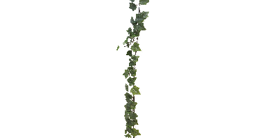 Ivy Chicago garland frosted 180cm (98 lvs)