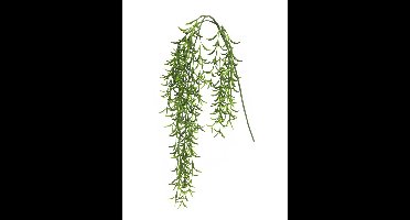 Hoya hanger groen 105cm