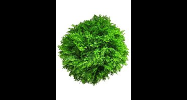 Fern ball green 40cm (6 month UV-protected)