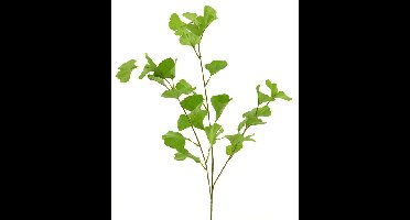Gingko spray groen 90cm