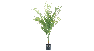 Areca palm in pot green 135cm