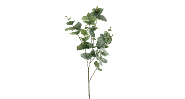 Eucalyptus spray spring green 81cm