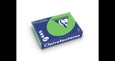 Clairefontaine Trophee A4 80gr grasgroen 500vel