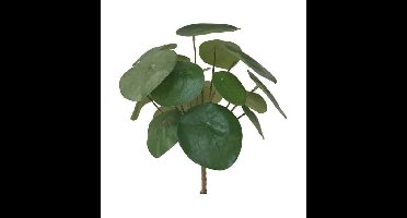 Kunstplant Pilea bush 25cm