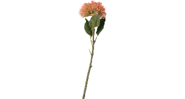 Sedum branch 43cm