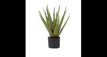 Kunstplant Aloe plante 50cm