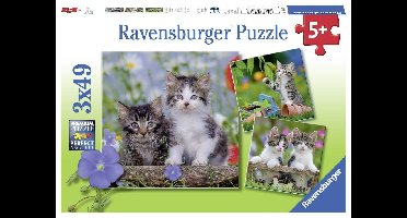 Ravensburger puzzel jonge katjes 3x49 stukjes