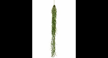 Hanging sprengeri bush green 94cm