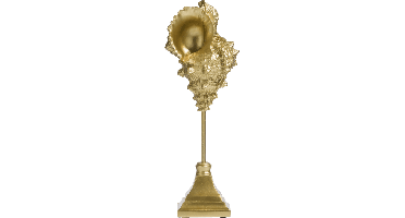 Object Shell 36cm.