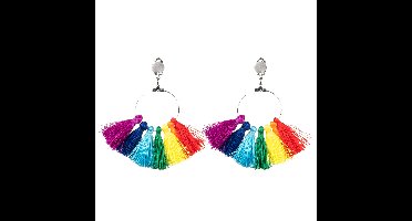 Oorbellen Regenboogkwastjes