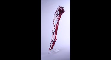 Panty grote gaten rood