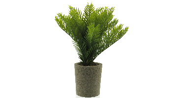 Mini palm in pot green 40cm