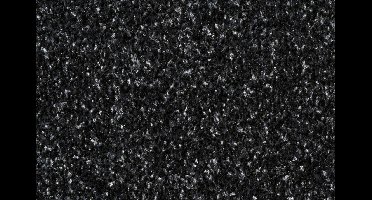 Schoonloopmat Briljant zwart 60x80