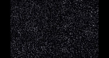 schoonloopmat Aqualuxe antraciet 60x100 cm