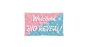 Gevel vlag gender reveal
