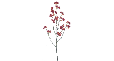 Bittersweet berry spray red 66cm