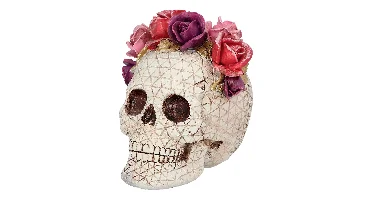 Schedel Sera Rosa