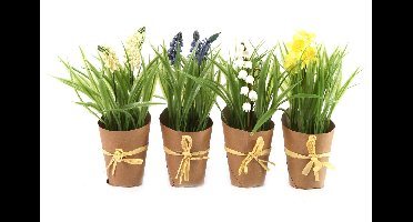Lentebloemen Linch gemixte