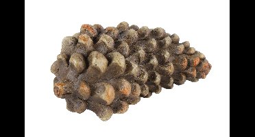 Decostar Countryfield Dennenappel dun Donni L bruin-L12,8B7,7H6CM