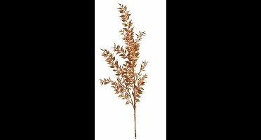 Ruscus metallic koper