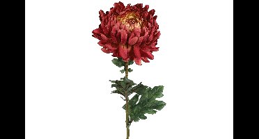 Decostar Countryfield Kunstbloem Chrysanthemum l.rood-L15B15H75CM