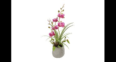 Decostar Countryfield Kunstplant Phalenopsis mini w/pot arrangement