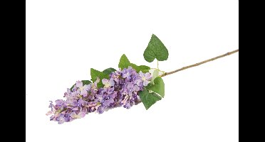 sering spray blauw