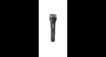 Philips zaklamp Everyday