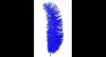 Spadonis veren blauw