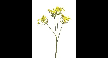 Anethum spray geel 68cm