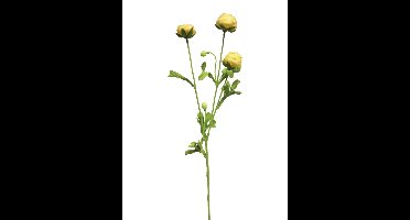 Ranuncules mini yellow 68cm