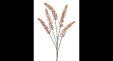 Phytolacca roze 93cm