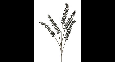 Phytolacca zwart 93cm