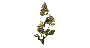 Seringa spray purple 78cm