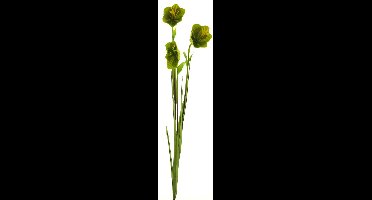 Cora bell spray tt green 79cm